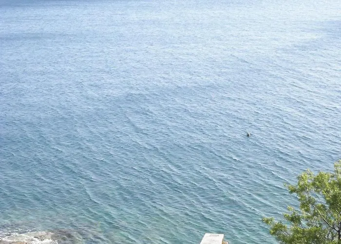 Marija * Муртер